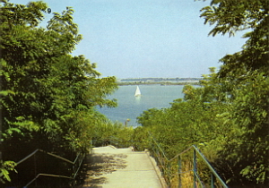 Senftenberg